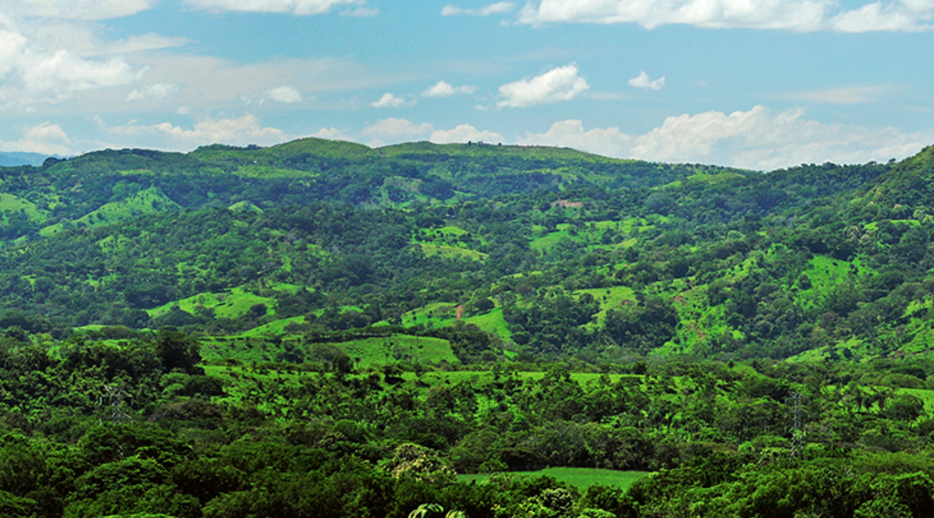 Earth Qi in Costa Rica